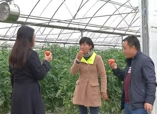 冬天群众吃瓜的视频,群众欢乐吃瓜现场