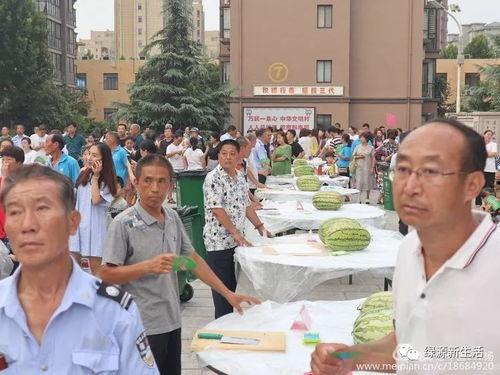 办公室吃瓜现场,揭秘职场八卦背后的真相