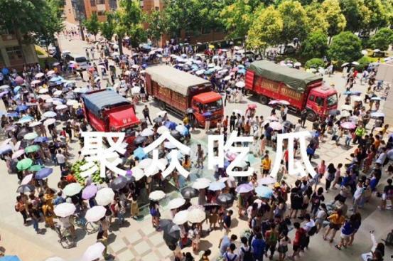 吃瓜大学城,揭秘校园里的热点事件与趣味生活