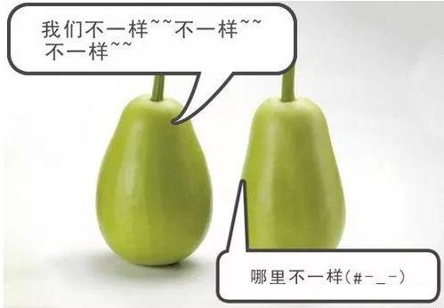 子安吃瓜,揭秘娱乐圈幕后故事