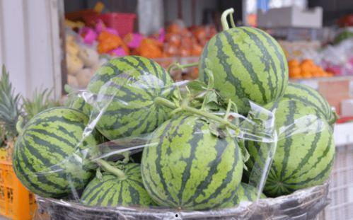 吃瓜恶心坏了,恶心体验揭秘