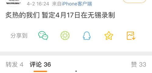 微信吃瓜传瓜犯法吗,法律边界与社交风险探讨