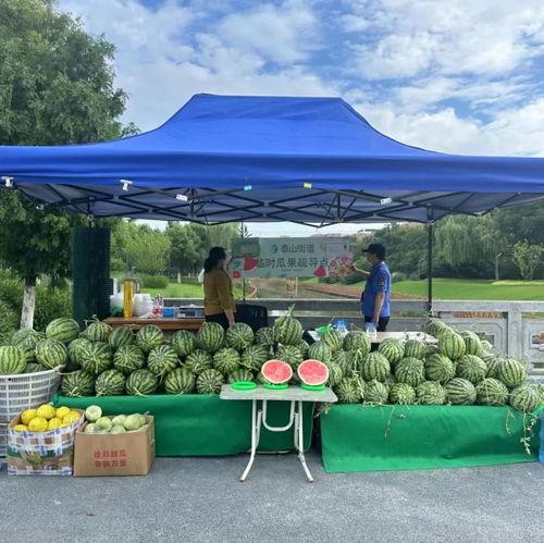 吃瓜群众周女士