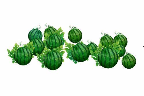 阿田吃瓜,揭秘娱乐圈幕后故事