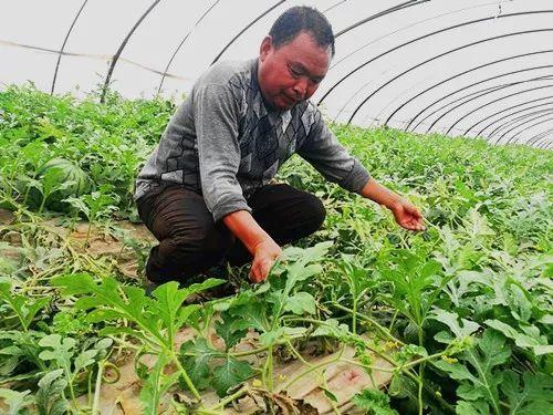 郑州疫情吃瓜视频